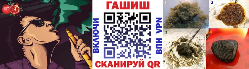 ГАШ Premium  Болотное 