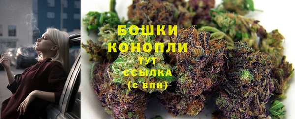 трава Майский