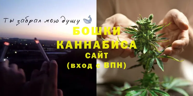 где продают наркотики  Болотное  Каннабис марихуана 